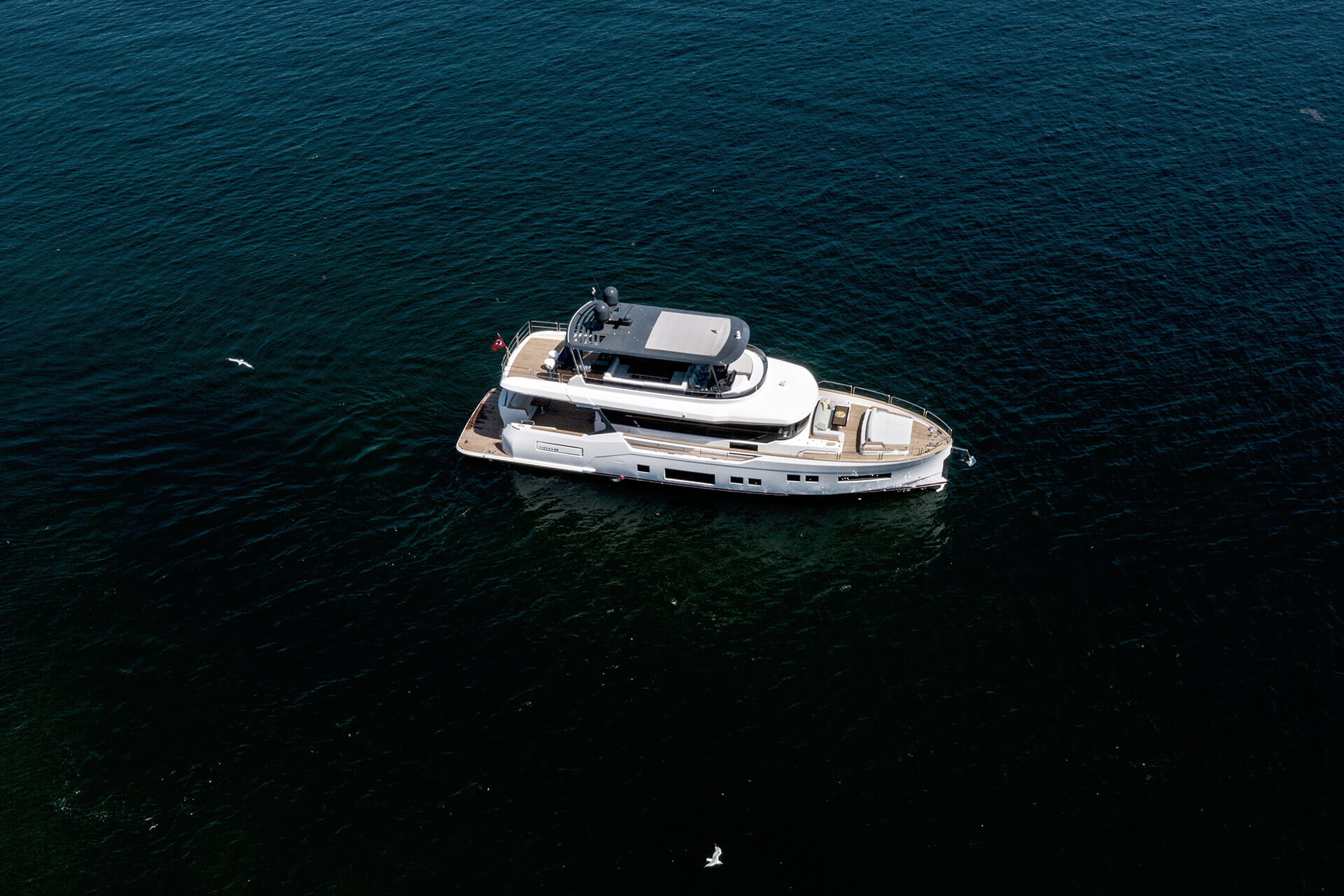 SIRENA 68 2024