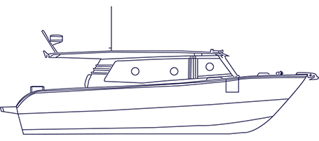 SilverCat 40 LUX